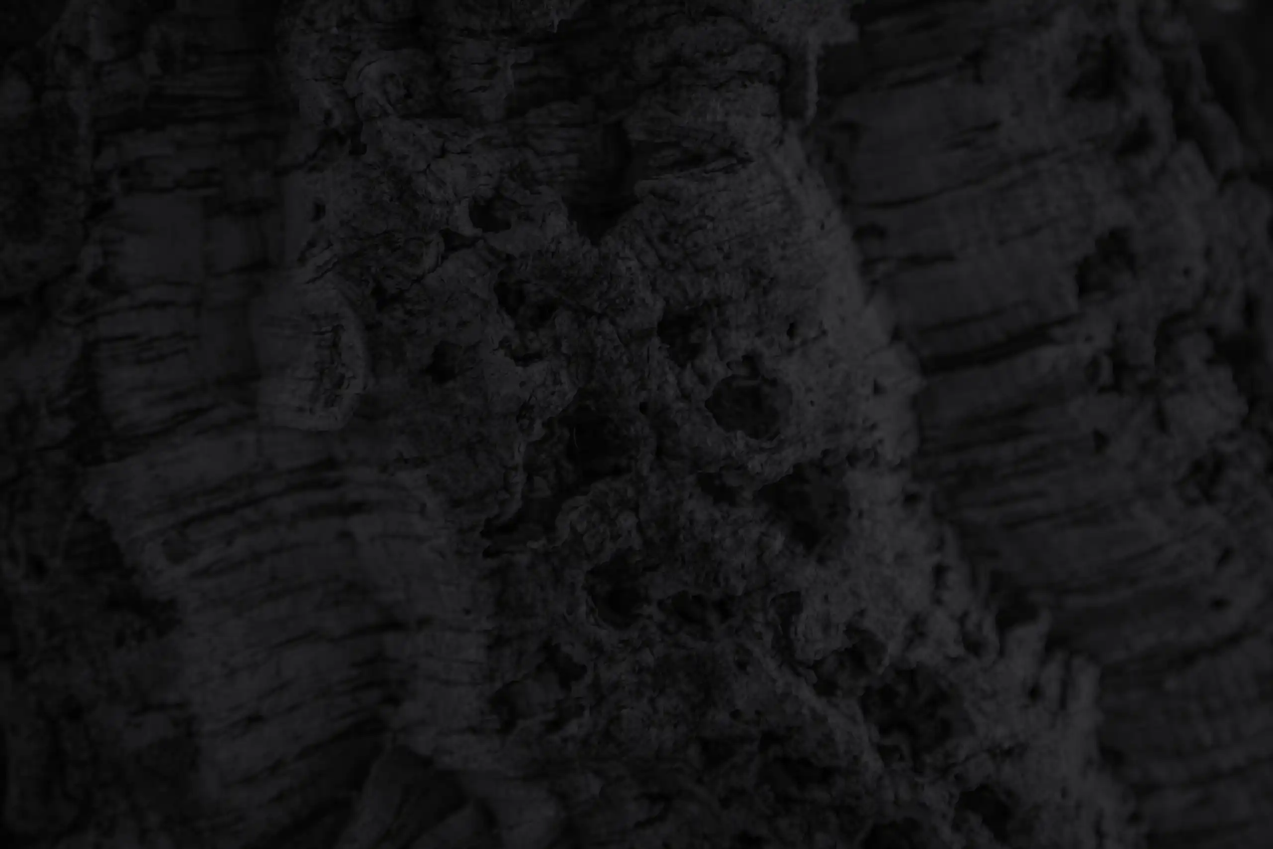 Cork texture